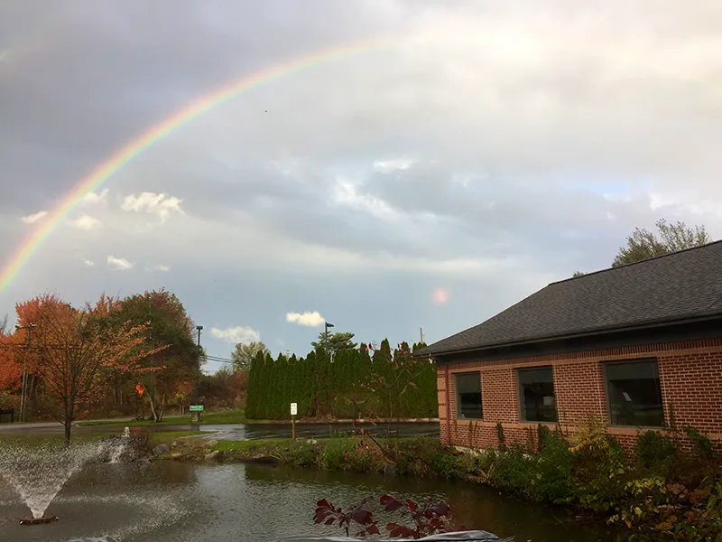 Rainbow