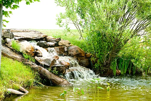 Fountain View Family Dental Muskegon MI
